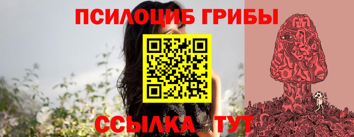 Галлюциногенные грибы Psilocybine cubensis  Вход с VPN  Кувандык 